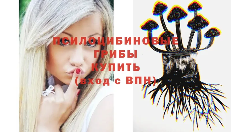 Галлюциногенные грибы Psilocybe  Нижний Ломов 